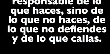 Eres culpable de no obtener lo que deseas. Busca soluciones.